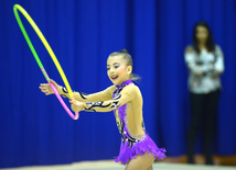 Bədii gimnastika üzrə XXII Bakı çempionatı və birinciliyi start götürüb. Bakı, Azərbaycan, 13 noyabr 2015